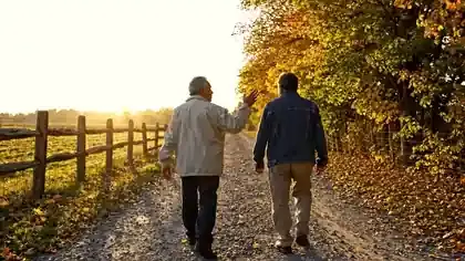 Two men in their late sixties walking side by side down a gravel farm lane at dusk, seen from behind